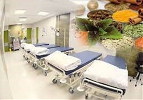 نقش طب سنتی در درمان سرطان/ درمان‌ گیاهی می‌تواند جایگزین شیمی‌درمانی شود؟